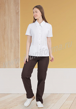 Блуза медицинская женская арт. М-40-09-ТС